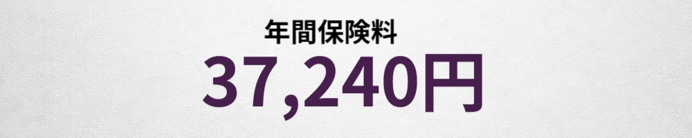 年間保険料イメージ