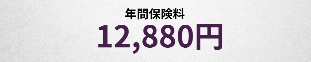 年間保険料イメージ