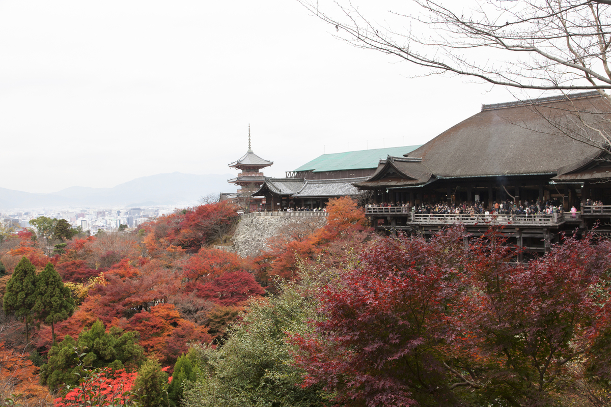 神社・寺院向け賠償責任保険