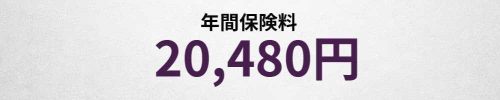 年間保険料イメージ