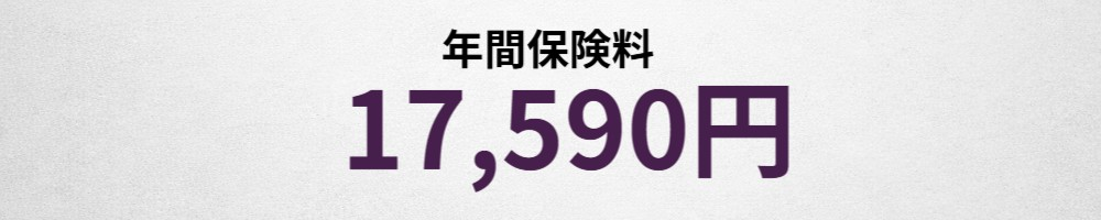 年間保険料イメージ