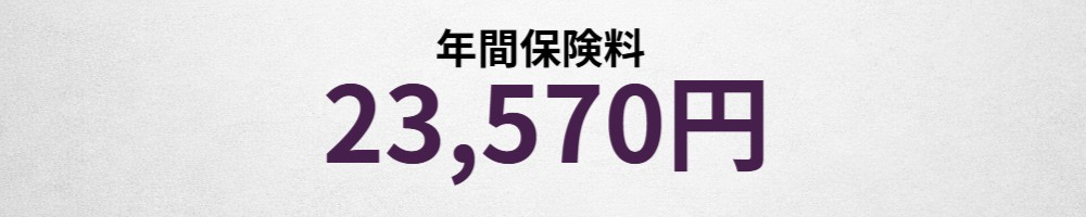 年間保険料イメージ