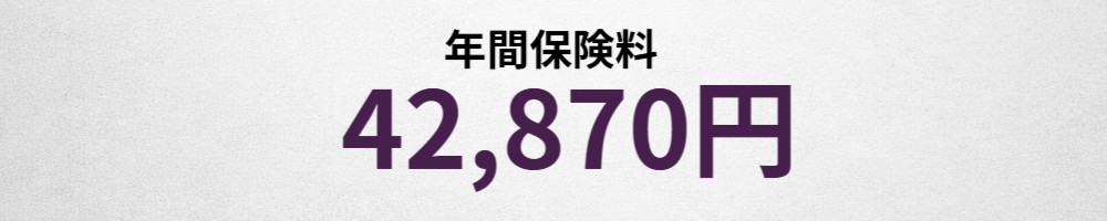 年間保険料イメージ