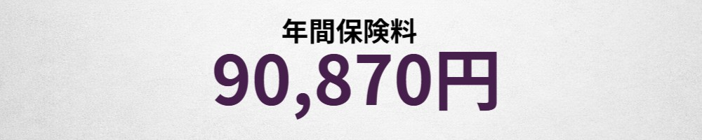年間保険料イメージ