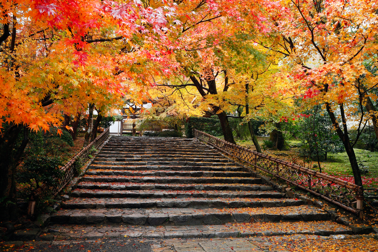 神社・寺院向け火災保険