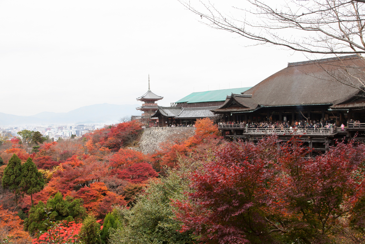 ビジサポ寺院専用プラン