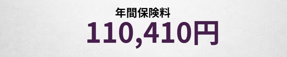 年間保険料イメージ
